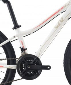 Xe đạp thể thao LIV CATE 24-D 2 bản 2022 20 Đùi đĩa Xe Trẻ Em Liv Cate 24-d 2 Bản 2022