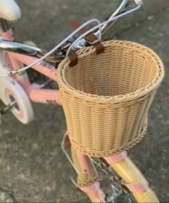 Xe đạp trẻ em Xaming 11 23 Giỏ Xe Xe đạp Trẻ Em Xaming 11