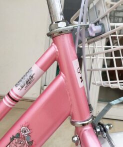 Khung đứng Xe đạp Trẻ Em Xaming Xm03