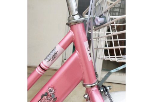 Khung đứng Xe đạp Trẻ Em Xaming Xm03