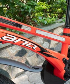 Khung Sườn Xe đạp Trẻ Em Lanq 80 3