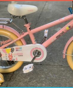 Xe đạp trẻ em Xaming 11 25 Khung Sườn Xe đạp Trẻ Em Xaming 11