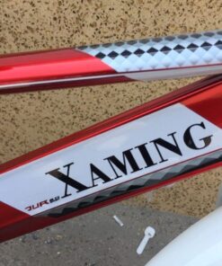Khung Sườn Xe đạp Trẻ Em Xaming 16
