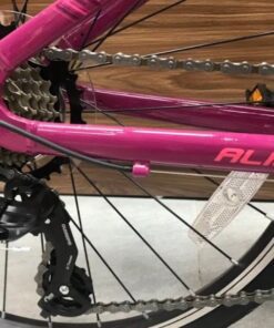 Xe đạp nữ Liv Alight 24 bản 2022 19 Líp Xe Trẻ Em Liv Alight 24 Bản 2022