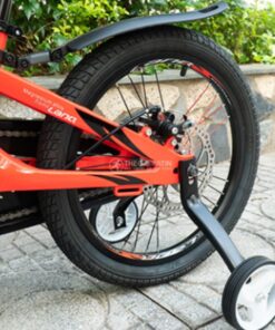 Lốp Xe Xe đạp Trẻ Em Lanq 80 3