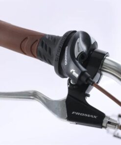 Xe đạp mini nữ Chevaux Parris 6.0 29 Tay đề Xe đạp Chevaux Parris 6.0