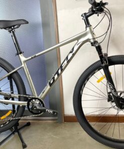 Xe đạp địa Hình Mtb Dtfly X8 Màu Bạc ảnh Thật