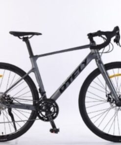 Xe đạp đua road Dtfly R5 19 Xe đạp đua Road Dtfly R5 Màu Xanh