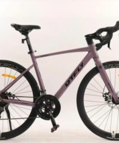 Xe đạp đua road Dtfly sr80 19 Xe đạp đua Road Dtfly Sr80 Màu Tím