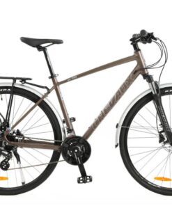 Xe đạp đường Phố Chevaux Ck Pro Màu Xám