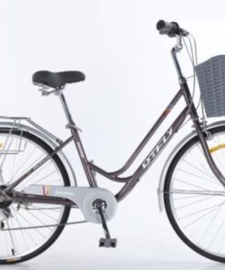 Xe đạp Nữ Dtfly City Màu Xám