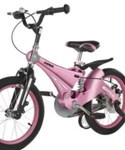 Xe đạp Trẻ Em Jianer J1 Màu Hồng