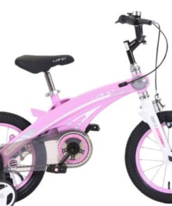 Xe đạp Trẻ Em Lanq 39 4 Màu Hồng