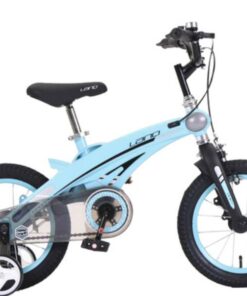 Xe đạp Trẻ Em Lanq 39 4 Màu Xanh