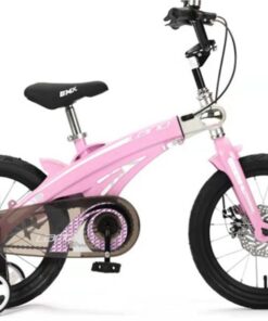 Xe đạp Trẻ Em Lanq 40 4 Màu Hồng