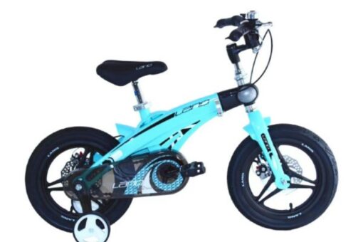 Xe đạp Trẻ Em Lanq 40 Plus 4 Màu Xanh
