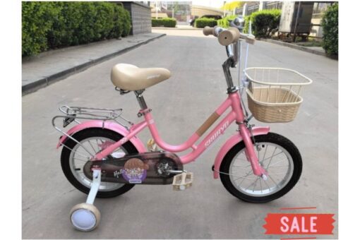Xe đạp Trẻ Em Shukyo F2 Cho Bé Gái Màu Hồng