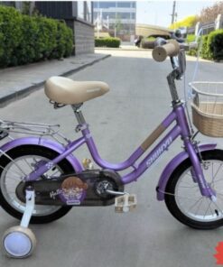 Xe đạp Trẻ Em Shukyo F2 Cho Bé Gái Màu Tím