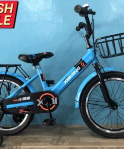 Xe đạp Trẻ Em Xaming 18 Màu Xanh