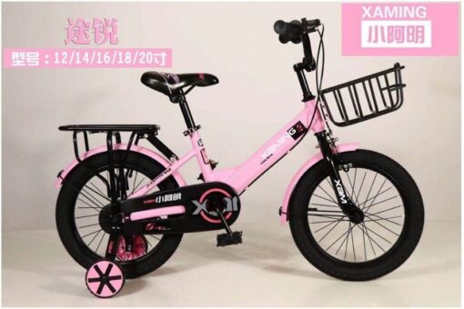 Xe đạp Trẻ Em Xaming 20 Màu Hồng