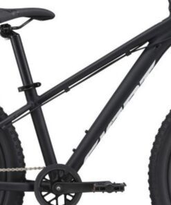 Khung Sườn Xe Trẻ Em Giant Stp 24 Bản 2022