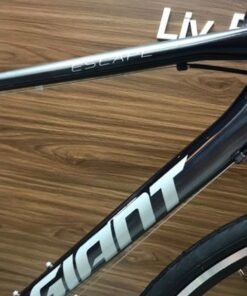 Xe đạp đường phố Giant Escape R3 bản 2022 25 Khung Xe đạp Touring Giant Escape 2022