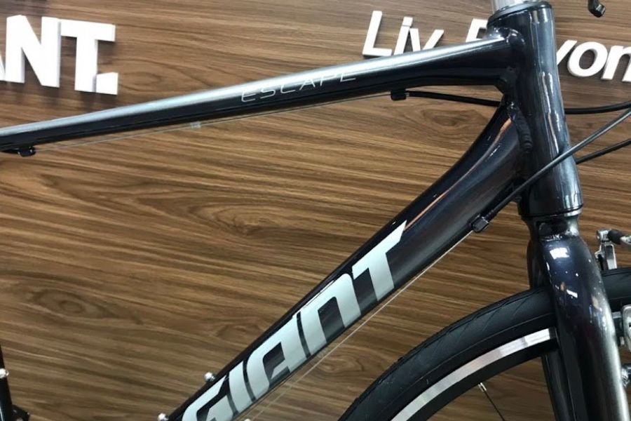 Xe đạp đường phố Giant Escape R3 bản 2022 40 Khung Xe đạp Touring Giant Escape 2022