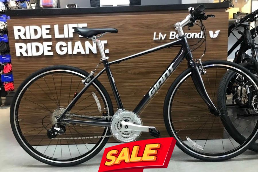 Xe đạp đường phố Giant Escape R3 bản 2022 43 Xe đạp Touring Giant Escape 2022