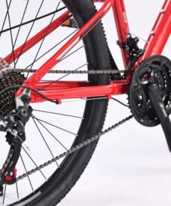 Xe đạp địa hình California MODELTIME DURIAN bản 2023 48 Bộ Truyền động Xe đạp địa Hình California Modeltime Durian Bản 2023