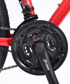 Xe đạp địa hình California MODELTIME DURIAN bản 2023 50 Đùi đĩa Xe đạp địa Hình California Modeltime Durian Bản 2023