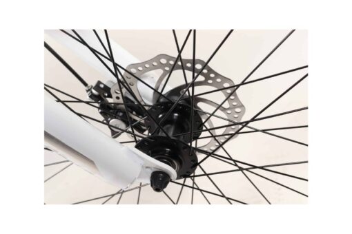 Moay ơ Xe đạp địa Hình California 500cc Bản 2022