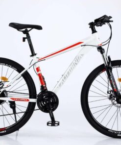 Xe đạp địa hình California 100CC 20 Xe đạp địa Hình California 100cc Màu Trắng