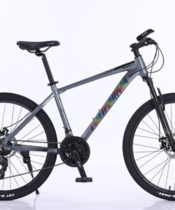 Xe đạp địa hình California 500CC bản 2025 24 Xe đạp địa Hình California 500cc Bản 2025 Màu Xám