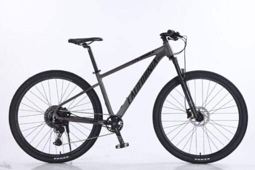 Xe đạp địa Hình California 860cc Màu Xám