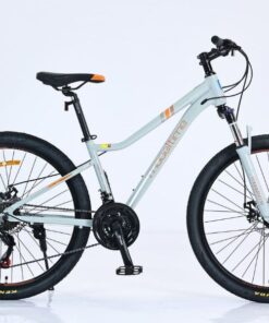Xe đạp địa hình California MODELTIME DURIAN bản 2023 39 Xe đạp địa Hình California Modeltime Durian Bản 2023 Màu Xnah Xám