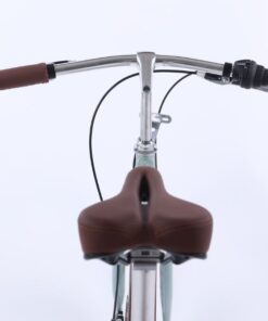 Xe đạp nữ California Modeltime Mango bản 2022 43 Cổ Lái Xe đạp Nữ California Modeltime Mango Bản 2022