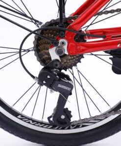 Xe đạp gấp California Time 7s khung nhôm 48 Củ đề Sau Xe đạp Gấp California Time 7s Khung Nhôm