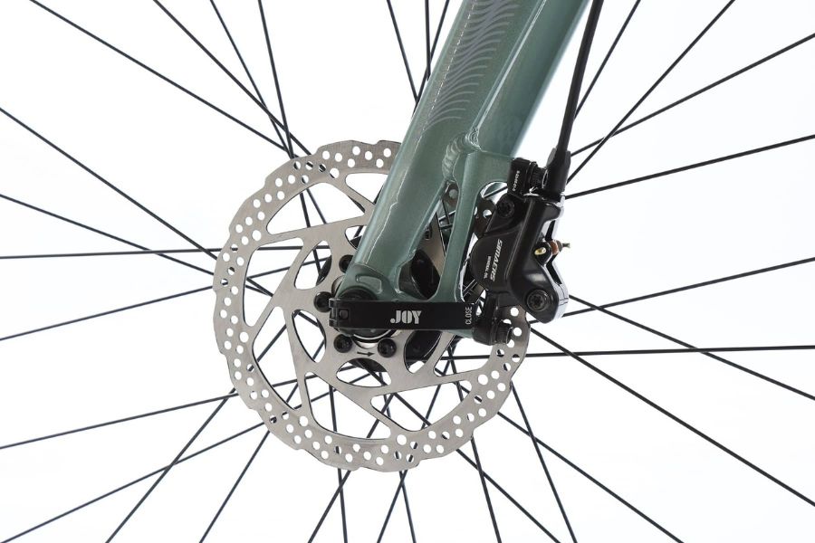 Xe đạp đường phố California S790 48 Phanh đĩa Xe đạp đường Phố California S790