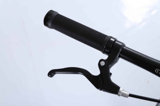 Tay Phanh Xe đạp đường Phố California S240