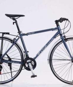 Xe đạp đường phố California City 250 bản 2022 29 Xe đạp đường Phố California City 250 Bản 2022 Màu Xanh