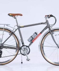 Xe đạp đường phố California City 350 bản 2024 29 Xe đạp đường Phố California City 350 Bản 2024 Màu Xám