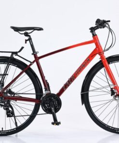 Xe đạp đường phố California City 450 29 Xe đạp đường Phố California City 450 Màu đỏ