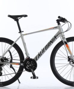 Xe đạp đường phố California S790 29 Xe đạp đường Phố California S790 Màu Bạc