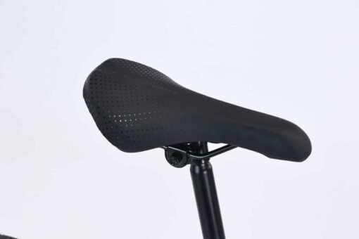 Yên Ngồi Xe đạp đường Phố California S570 Bản 2024