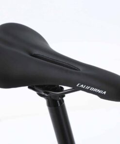 Xe đạp đường phố California S790 33 Yên Ngồi Xe đạp đường Phố California S790