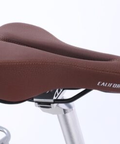 Xe đạp nữ California Modeltime Mango bản 2022 45 Yên Ngồi Xe đạp Nữ California Modeltime Mango Bản 2022