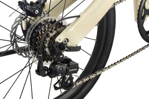 Líp Và Củ đề Sau Xe đạp Gấp Momentum Ithing Expressway D Ltd 2 Bản 2025