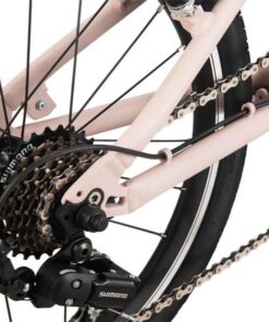 Củ đề Và Líp Xe đạp Gấp Momentum Ithink Expressway Bản 2026