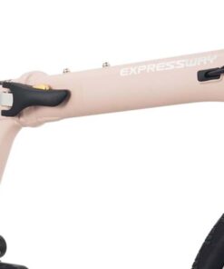 Khung Xe đạp Gấp Momentum Ithink Expressway Bản 2026