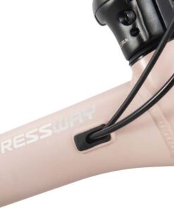 Dây âm Sườn Xe đạp Gấp Momentum Ithink Expressway Bản 2026